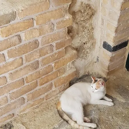 Peristeris Traditional House Since 1900 Corfu Prázdninový dům Áno Garoúna