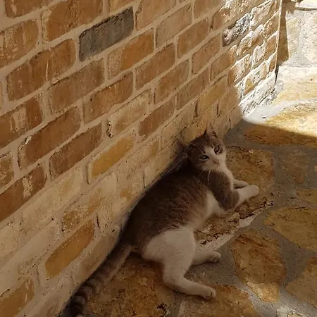 펜션 Peristeris Traditional House Since 1900 Corfu *